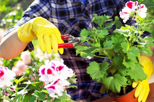 Secure checkout for Camden Town garden maintenance