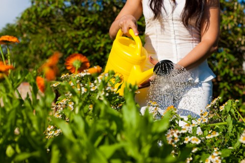 Urban garden in Camden Town showcasing efficient irrigation system